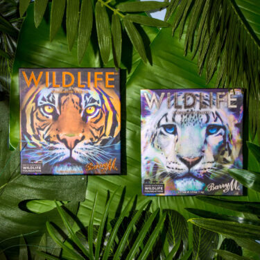 David Shepherd Wildlife Foundation