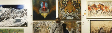David Shepherd Wildlife Foundation