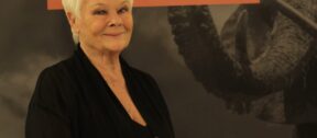 David Shepherd Wildlife Foundation