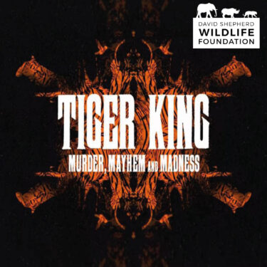 David Shepherd Wildlife Foundation