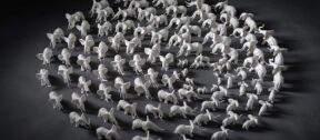 David Shepherd Wildlife Foundation