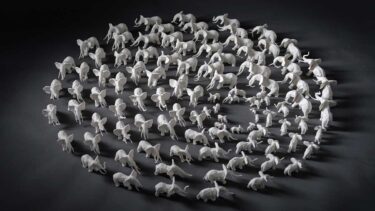 David Shepherd Wildlife Foundation