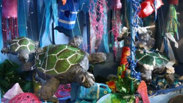 David Shepherd Wildlife Foundation