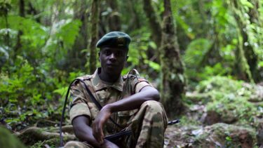 David Shepherd Wildlife Foundation