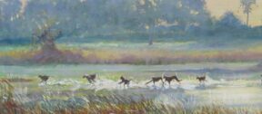 David Shepherd Wildlife Foundation