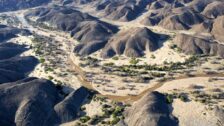 David Shepherd Wildlife Foundation