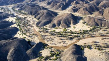 David Shepherd Wildlife Foundation