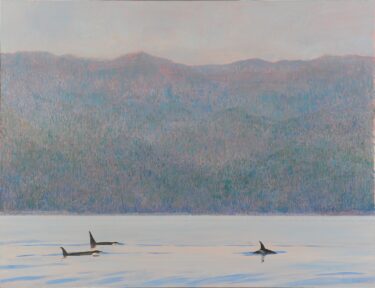 David Shepherd Wildlife Foundation