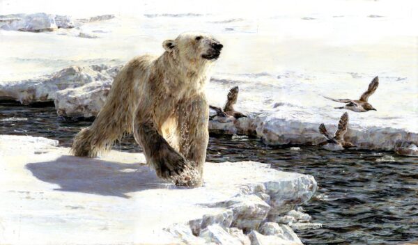 David Shepherd Wildlife Foundation