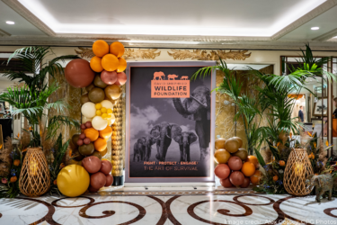 David Shepherd Wildlife Foundation