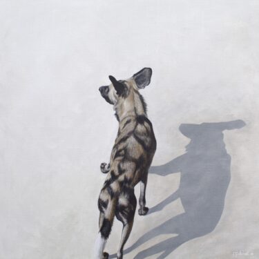 David Shepherd Wildlife Foundation