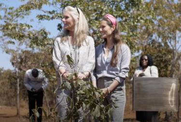 David Shepherd Wildlife Foundation