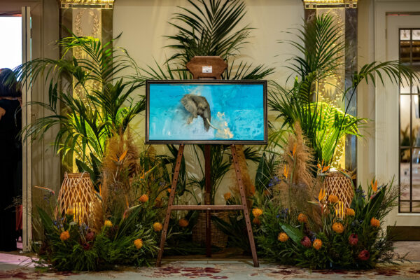 David Shepherd Wildlife Foundation