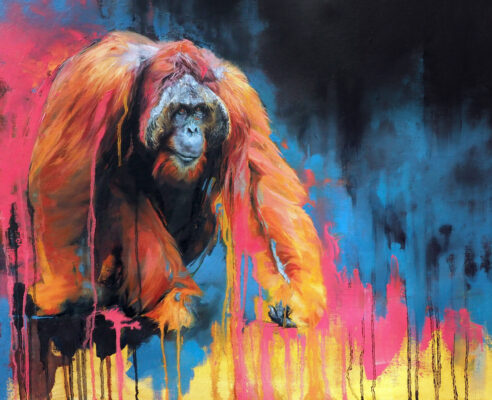 David Shepherd Wildlife Foundation
