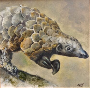 David Shepherd Wildlife Foundation