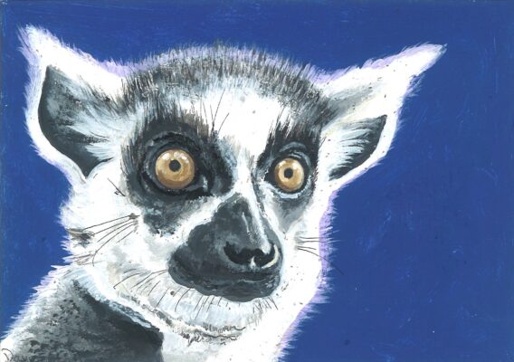 David Shepherd Wildlife Foundation