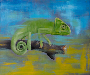 David Shepherd Wildlife Foundation