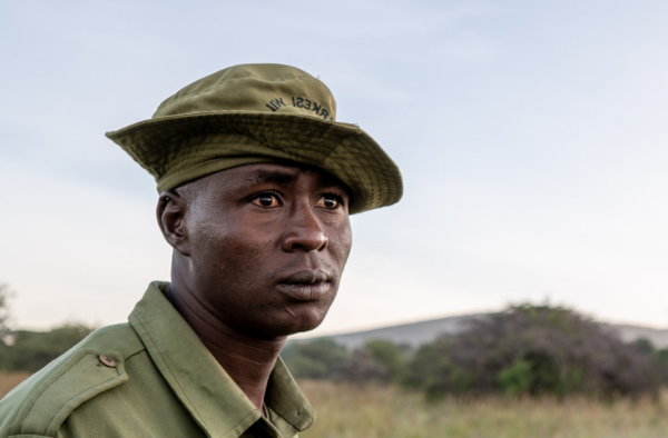 David Shepherd Wildlife Foundation