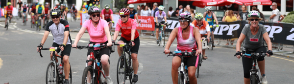 David Shepherd Wildlife Foundation