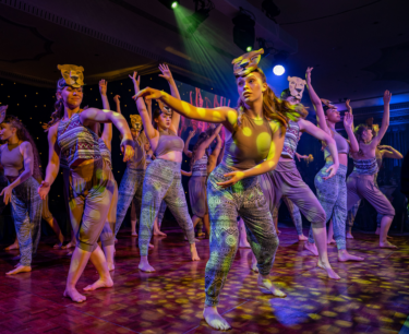 David Shepherd Wildlife Foundation