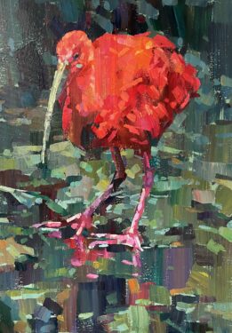 David Shepherd Wildlife Foundation