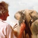 David Shepherd Wildlife Foundation