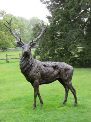 David Shepherd Wildlife Foundation