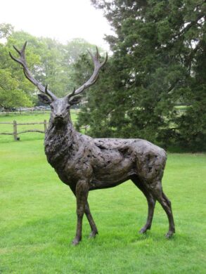 David Shepherd Wildlife Foundation