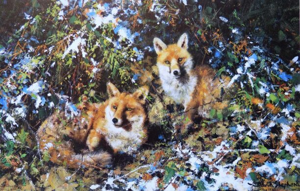 David Shepherd Wildlife Foundation
