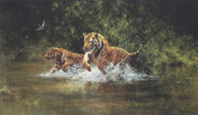 Limited Edition Prints Artwork | Page 2 of 3 | David Shepherd Wildlife ...