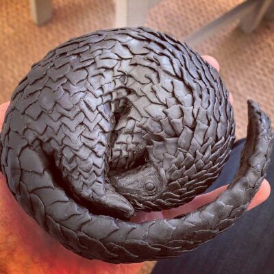 David Shepherd Wildlife Foundation