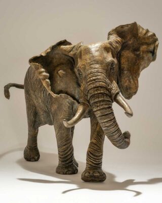 David Shepherd Wildlife Foundation