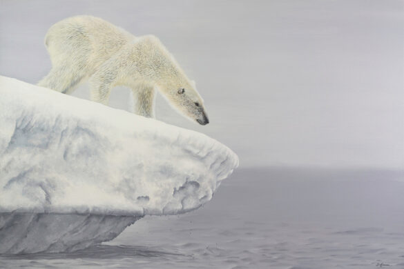 David Shepherd Wildlife Foundation