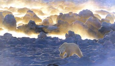 David Shepherd Wildlife Foundation