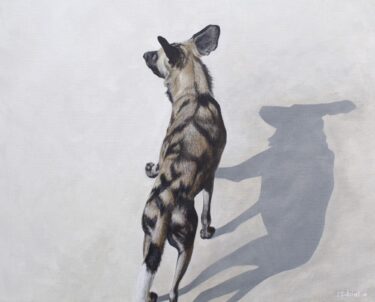 David Shepherd Wildlife Foundation