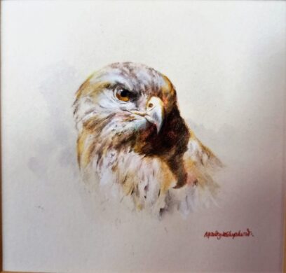 David Shepherd Wildlife Foundation