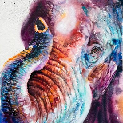 David Shepherd Wildlife Foundation