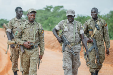 David Shepherd Wildlife Foundation