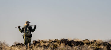 David Shepherd Wildlife Foundation