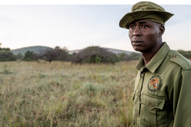 David Shepherd Wildlife Foundation