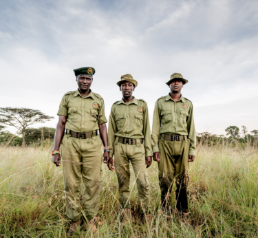 David Shepherd Wildlife Foundation