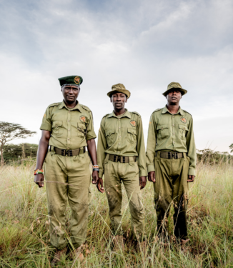 David Shepherd Wildlife Foundation