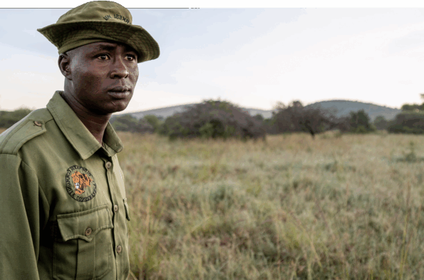 David Shepherd Wildlife Foundation