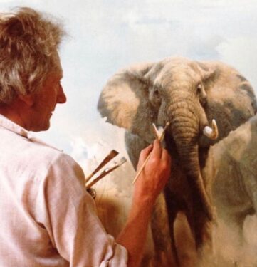 David Shepherd Wildlife Foundation