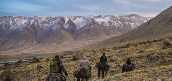 David Shepherd Wildlife Foundation