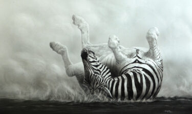 David Shepherd Wildlife Foundation