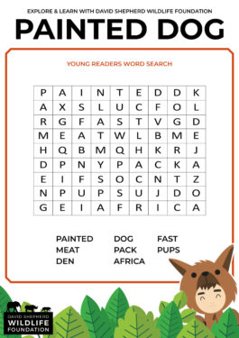 David Shepherd Wildlife Foundation