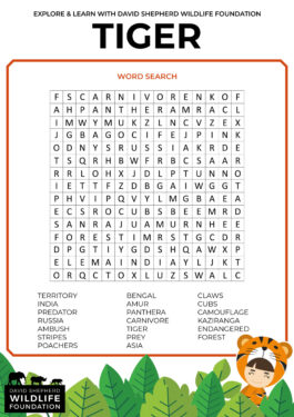 David Shepherd Wildlife Foundation