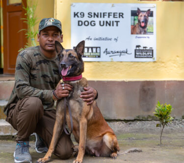 David Shepherd Wildlife Foundation