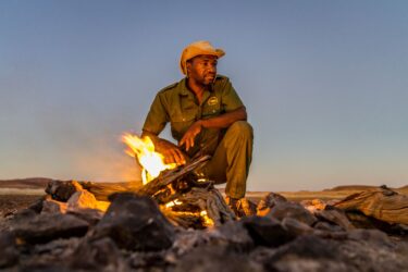 David Shepherd Wildlife Foundation